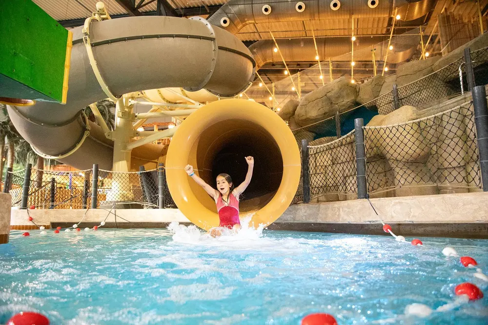 Dolphin Slide